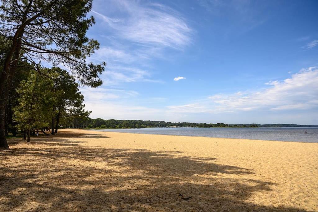 Apartment Des Grands Lacs *